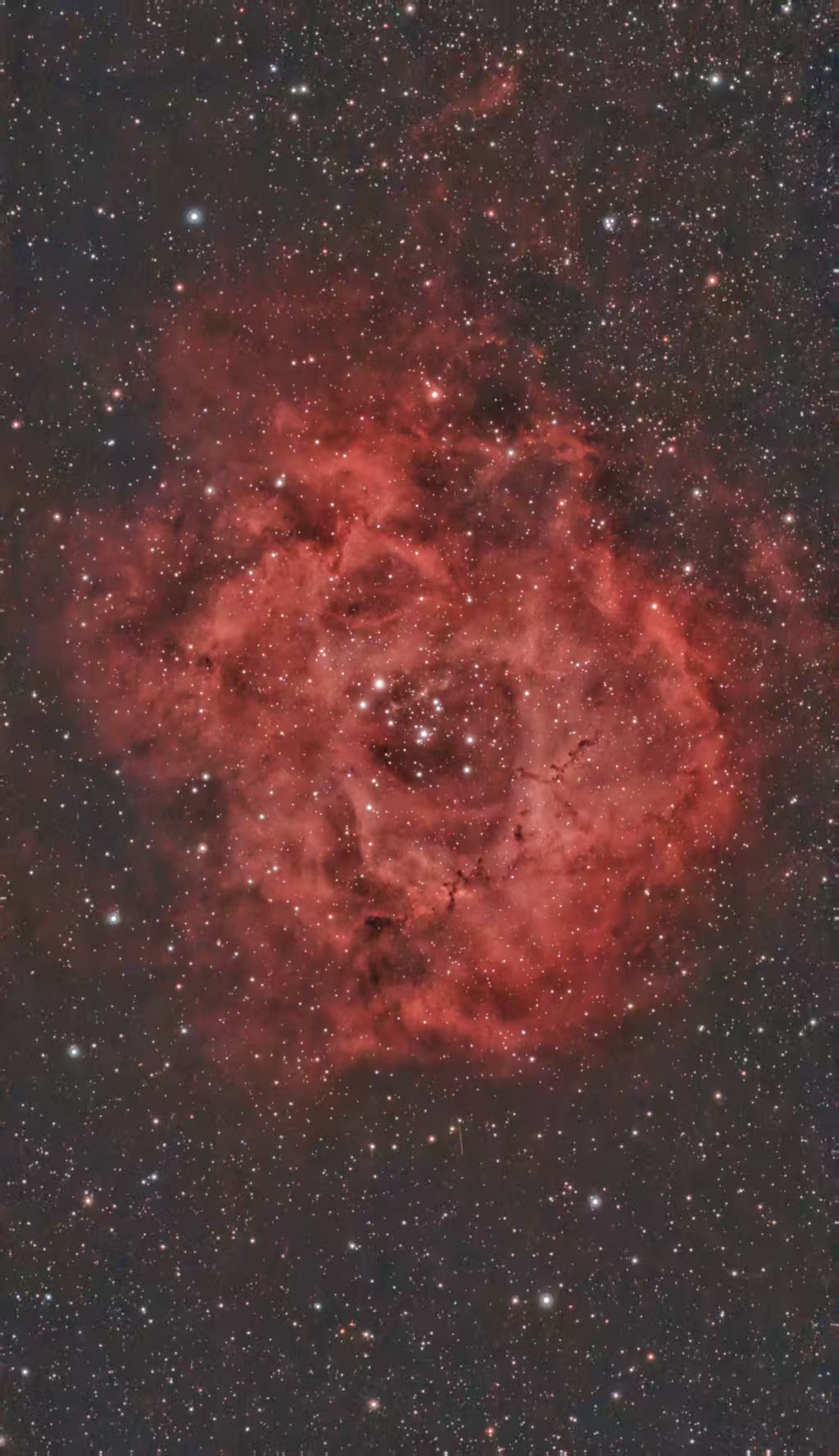 微信图片_20260101151643_24_105.jpg 微信图片_20260101151643_24_105.jpg